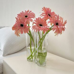 湖泊花瓶高级感水培绿植客厅餐桌摆件透明玻璃鲜花插花瓶不规则