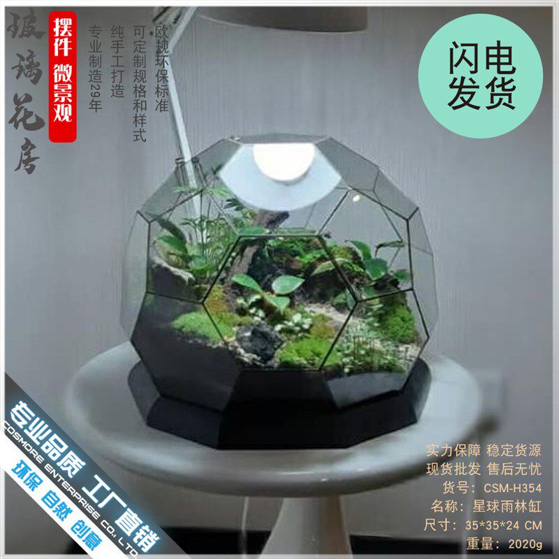 微景观雨林玻璃罩几何花房装饰摆件办公室造景生态瓶星球形花器皿