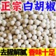 正宗白胡椒粒胡椒500g海南精选无硫干净胡椒粉颗粒煲汤烧烤原料