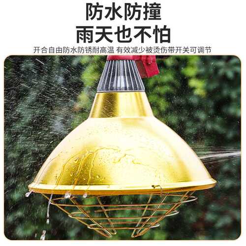 保温灯罩养殖场专用小猪仔猪取暖保温灯罩育雏取暖灯泡加热灯罩