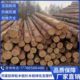 带皮杉木桩松木桩河道工程打桩木护栏桩菜园围栏桩绿化树木支撑杆
