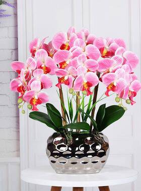 高RTL档蝶蝴兰仿真花兰假花客厅摆设装饰花花插花栽轻奢盆花艺摆
