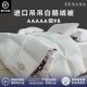 ZENANA5A羽绒被95白鹅绒空调被春秋被夏季 薄款 被芯180支全棉抗菌