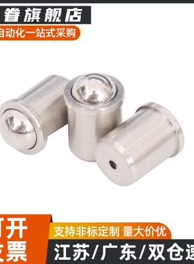 PFSSN/PFSSR/PFPSN/PFPPN 2/3/4/5/6/8/10 压入式球头柱塞