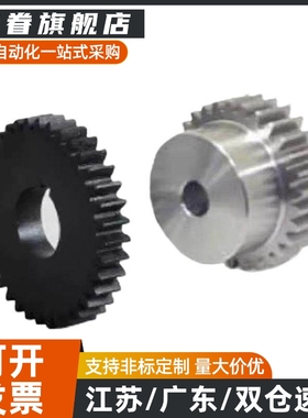 VNL01/02/21/22/31/32-2.0-12~100-B20-A/B-P8~49N标准直齿轮