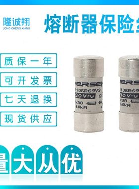 【熔断器保险丝】D076823 FR27UD69V125T E076824 FR27UD69V160T