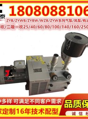 ZYBW...E真空压力复合气泵 ZYBW60E滑片泵甩片泵干泵 镇江气泵