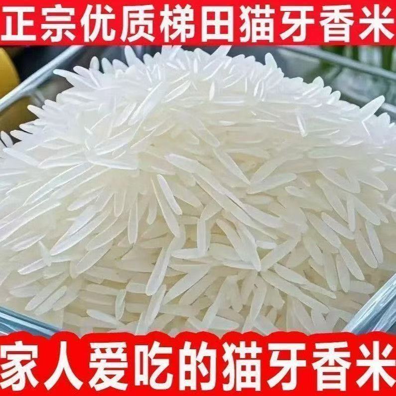 5斤正宗猫牙米长粒香米晚稻新米丝苗米煲仔蛋炒饭超长2.5KG大米