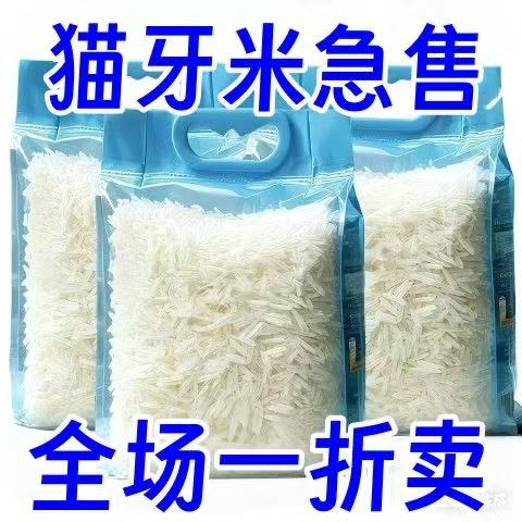 刚刚降价】新米猫牙米长粒香米正宗农家细长米猫牙优质煲仔饭批发