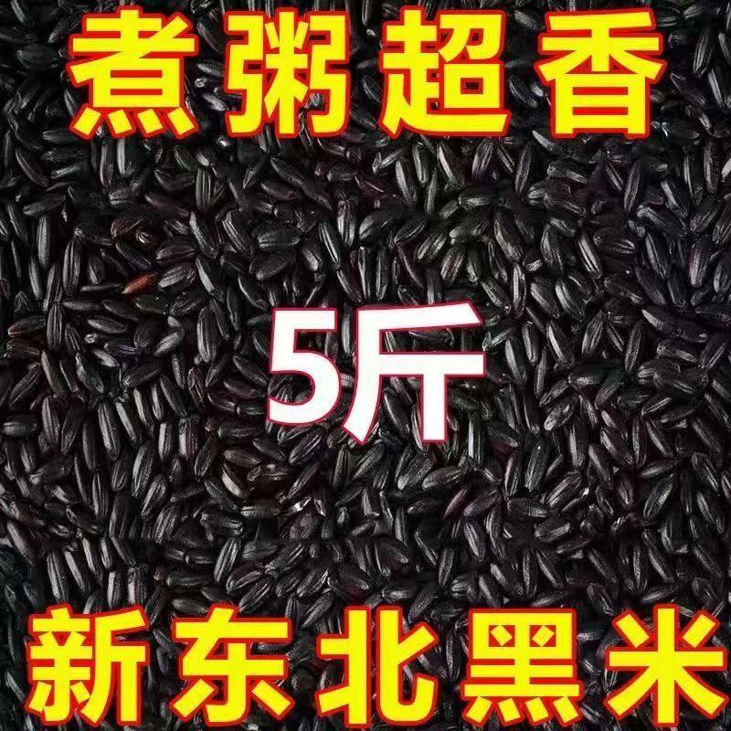 东北商超黑米新米农家黑米正宗黑糯米软糯商用豆浆稻谷非真空批发