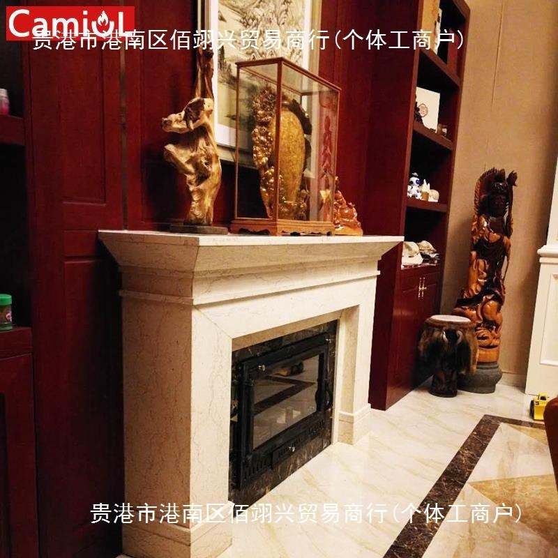 B1壁炉真火燃木家用取暖器现代欧式铸J铁嵌入烧木柴炉芯自建民