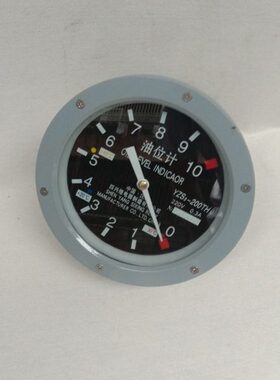 指针式油枕 YZS3-250TH 变压器油位计 YZS3-250TH 油位表