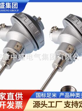 铠装热电偶WRNK2-191ML=200-1000℃φ5mm