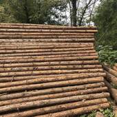 木桩289河道打化桩木木原木防汛防洪木桩精品檩条园杉林方绿支撑