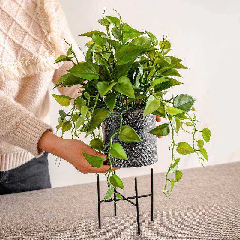 新品绿萝客厅室内仿生植物塑料小盆栽办公室装饰假绿植仿,农用物资,其他肥料,淘宝优惠券,粉丝福利购,淘宝优惠卷