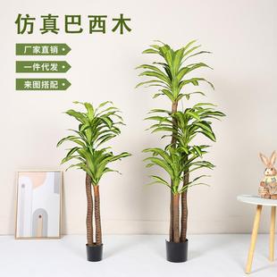 仿真绿植高级感巴西木假树盆栽客厅大型北欧仿生植物装饰室内造景