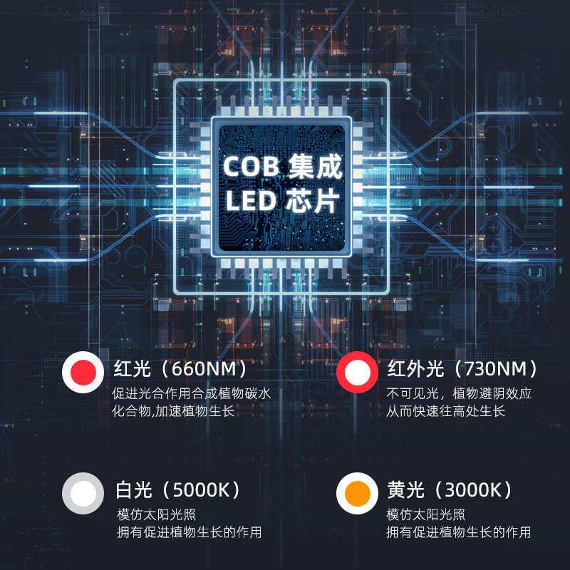 led植物生长灯绿植墙植物补光灯园艺花店多肉全光谱导轨射轨道灯