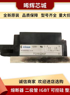 TT215N22KOF TT215N20KOF 型号齐全 标准封装功率半导体igbt