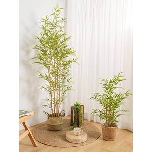 绿植竹盆栽室内客厅新中式禅意子假造景竹子YJ-0005植装物饰摆件