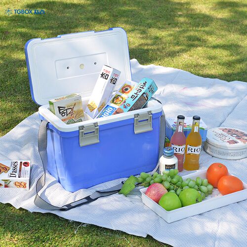 TGBOX太古保温箱家用12L车载冷藏箱可携式户外烧烤外送泡沫保鲜箱