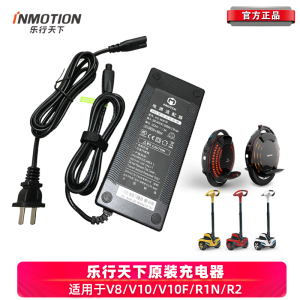 乐行天下R1V3PV5DV8V10L6P1F电动车滑板车平衡车独轮车原装充电器