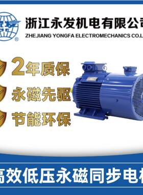 三相交流永磁电机YFYT-355L-2极3000转315W低压高效永磁同步电机