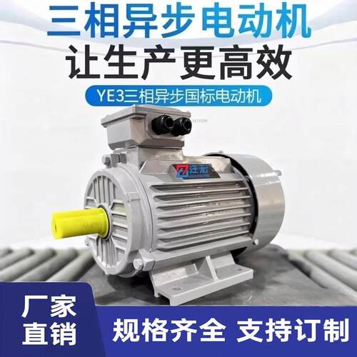 YE3系列效三相异步交流电动机4W-2/4极380V全铜铁壳电机