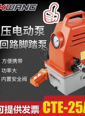 CTE-25AS液压泵站小型便携式超高压国产液压电动泵液压电动泵站