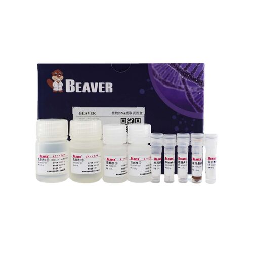 海狸BEAVER羟基磁珠300um货号70106-5容量5mL10mg/ml现货