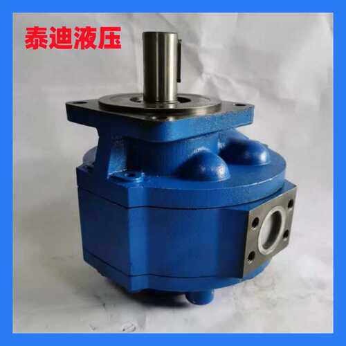 CMG2100-A1-30LS齿轮马达 工程机械马达