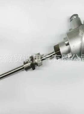 WZP系列WZPK2-234带引线热电阻/热电偶 耐高温防腐蚀精准稳定