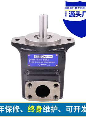 液压高压泵T6C/T6D/T6E叶片泵 T6CC/T6DC/EC/ED高压双联液压油