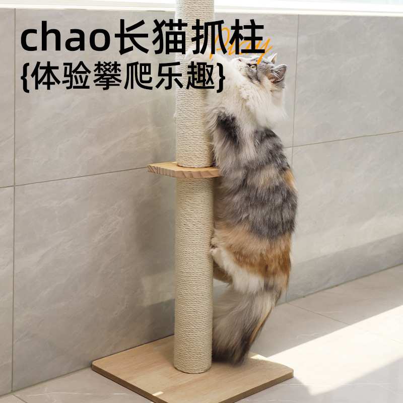 喵仙儿猫爬架家用通天柱猫抓板猫窝猫树一体靠墙占地小猫跳台猫架