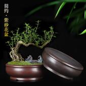 花紫砂盆宜兴兰花盆复客古精品多肉菖蒲榕厅假山LUA盆景盆树老桩