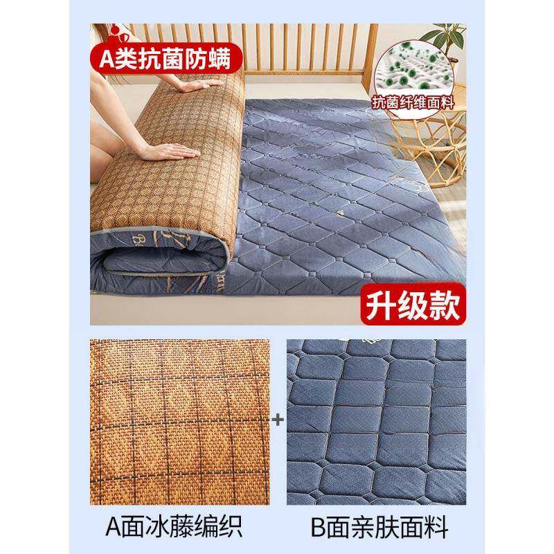 舍榻榻米夏薄季冰丝凉席床垫子垫学生宿单人冬夏两用折VZH叠款软