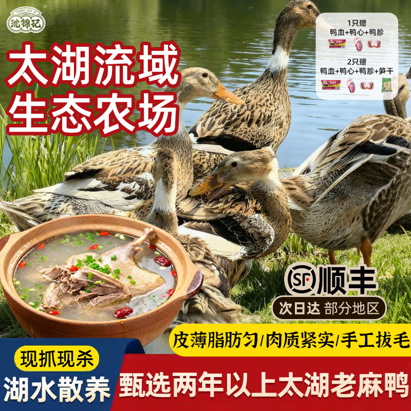 沈锦记太湖生态麻鸭整鸭现抓现杀