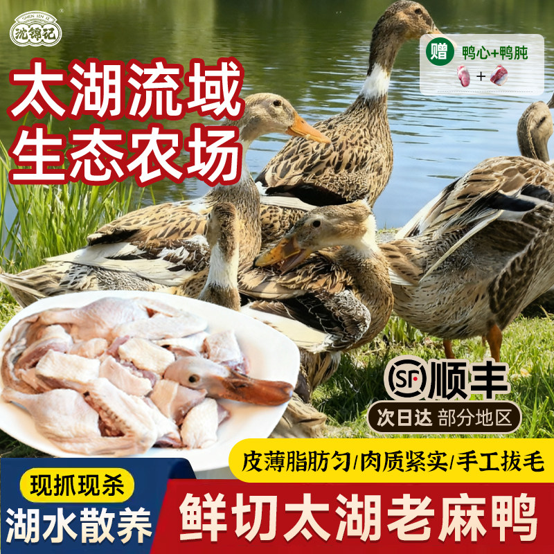 沈锦记鲜切太湖老麻鸭农家散养新鲜现杀整只鸭子肉2斤装顺丰包邮,水产肉类/新鲜蔬果/熟食,鸭肉/鸭肉制品,淘宝优惠券,粉丝福利购,淘宝优惠卷