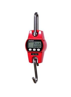 杭州天辰电子吊秤OCS-L-300KG迷你小吊秤