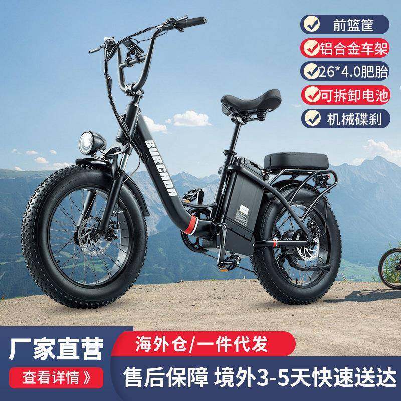 海外通勤电动自行车成人双人骑行可拆卸电池长久续航宽大肥胎