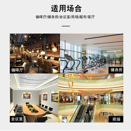 Hivi/惠威VA6-OS壁挂音箱壁挂喇叭会议室音响音箱会议喇叭