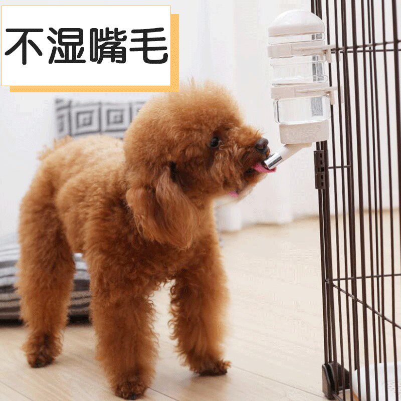 狗狗水杯挂式水壶猫咪用自动喝水器不湿嘴狗笼饮水器宠物悬挂喂水