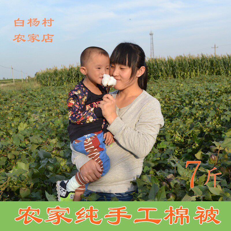 山东纯手工非新疆新棉长绒棉花被芯棉絮棉胎褥子垫被空调被7斤