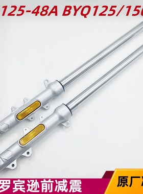 宗申摩托车比亚乔罗宾逊ZS125-48A BYQ125/150-8前减震器减震前叉