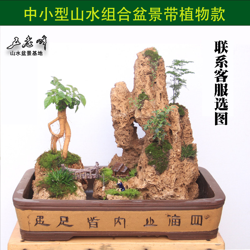 五老峰吸水石上水石假山盆景奇石鱼缸造景天然原石微景观高档礼品