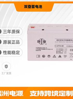 双蓄电池6-FM12v100AH-100光伏发电G12v1护00AH登铅酸免维蓄电池