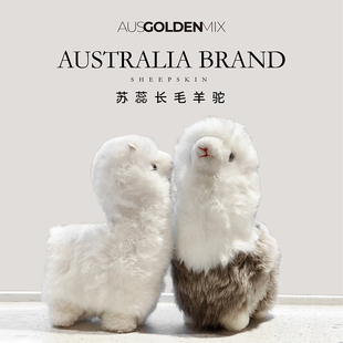 AusGolden长毛羊驼公仔澳洲天然羊皮毛一体卡通玩偶小羊抱枕摆件S