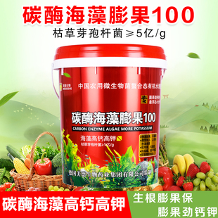 碳酶海藻膨果钙镁硼中量元 水溶肥冲施肥西瓜果树蔬菜专用肥 素桶装