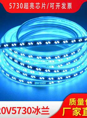 LED冰蓝色灯带冷蓝色灯带条天蓝色户外装饰浅蓝色灯条220V冰蓝光