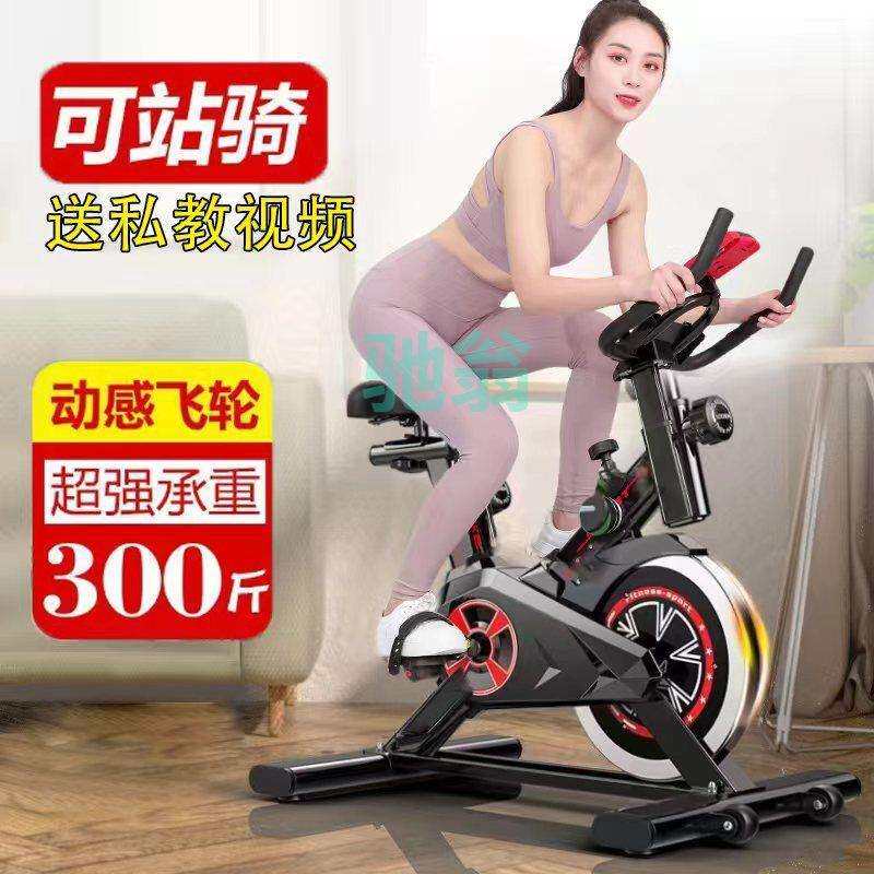 xsz动感单车家用健身器小型自行车专业房室内脚踏运动静音锻炼机