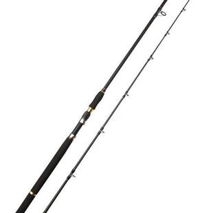 雷强3米锚杆竿XXXh碳素巨物套雷EZI竿远投竿打黑鱼杆锚鱼杆强路亚